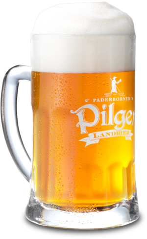 Paderborner Pilger Landbier 20×0,5L