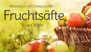 Väth Apfelschorle 10×0,5L