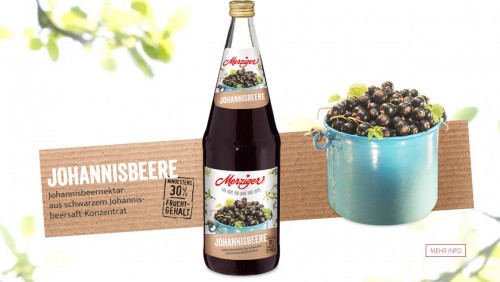 Merziger Johannisbbeere