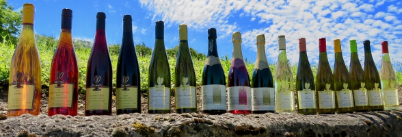 Weingut Haas Regent Rotwein Trocken 11,5%Vol.