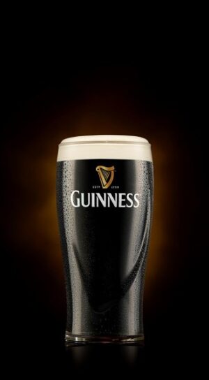 Guinness Draught Extra Staut 4,1%vol. 6×0,33L