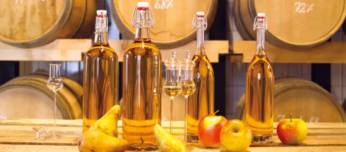 Prinz Alter Bodensee-Apfel 41%vol.